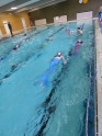 Meerjungfrauenschwimmen-172.jpg